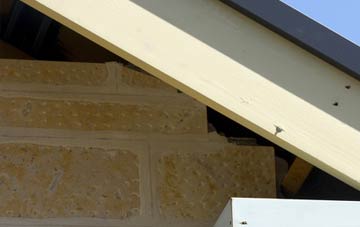 soffit repair Brithdir